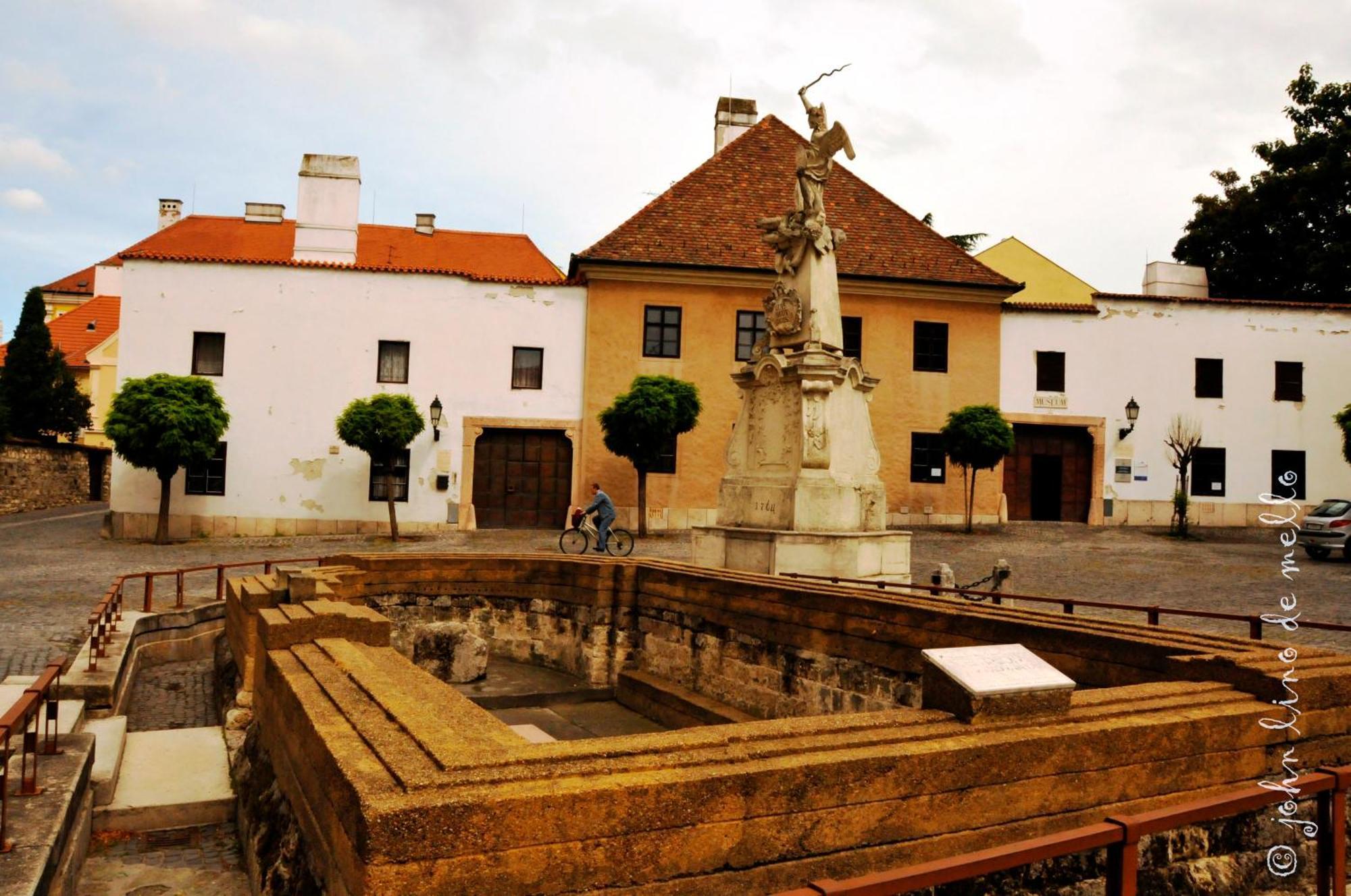 Buda Panzio Bed & Breakfast Győr Exterior foto